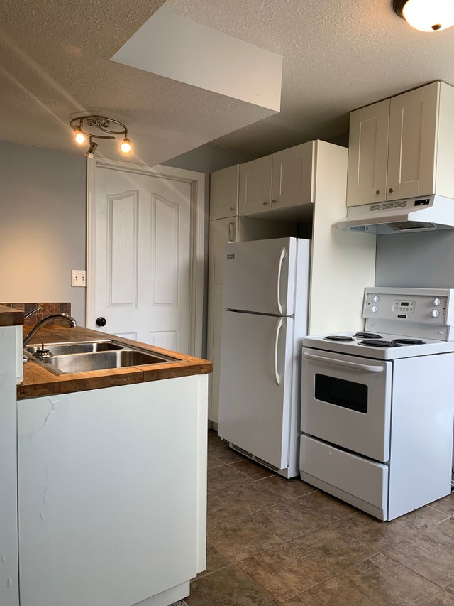 1 Bed, 1 Bath, Basement Suite, Sylvan Lake Long Term Rentals Red