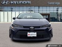 PREVIOUS DAILY RENTAL The *2024 Toyota Corolla LE* is the latest evolution of the world's best-selli... (image 7)