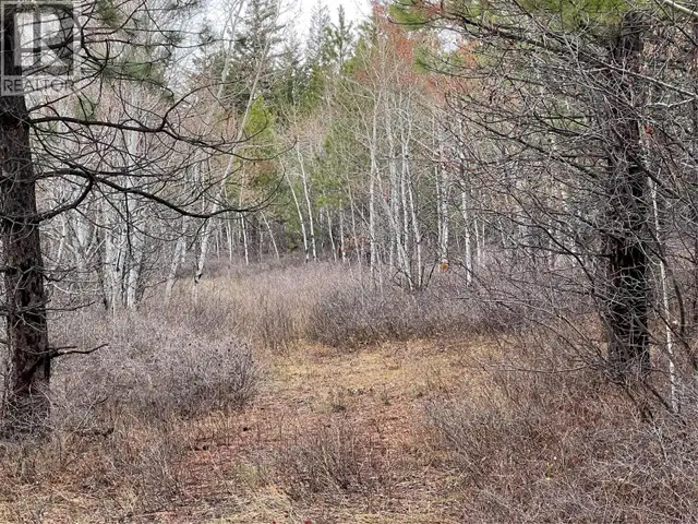 2457 COLDWATER Road Unit# Lot 9 Merritt, British Columbia in Land for Sale in Vernon - Image 13