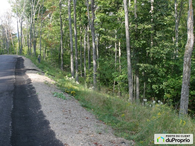 $550,000 - Residential Lot for sale in Mont-Tremblant — photo 1
