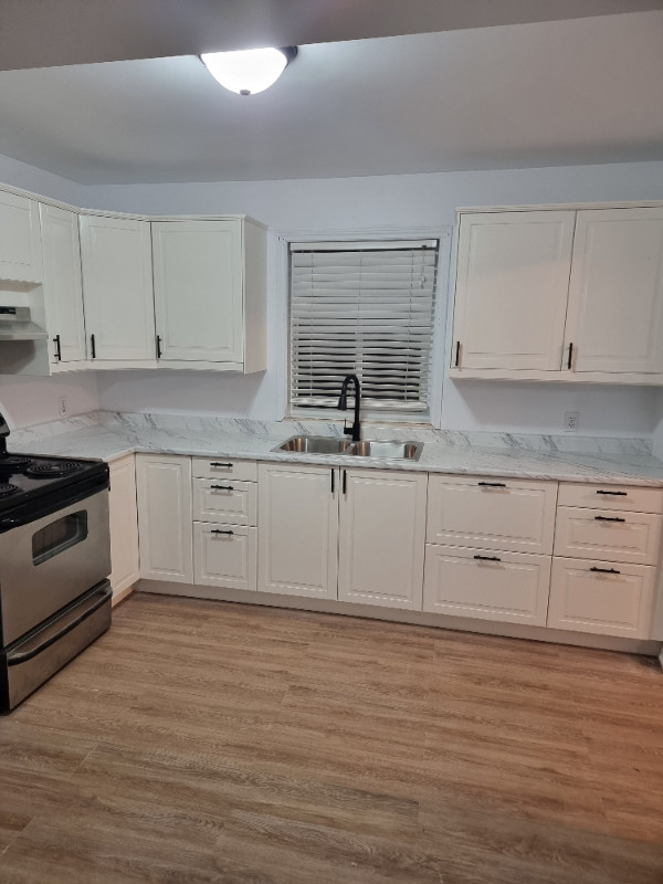 Beautiful Renovated 2 bedroom 1 bath - available if the ad is up in Long Term Rentals in Leamington - Image 2