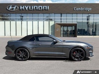 *2019 Ford Mustang EcoBoost Premium Convertible | Automatic | Turbocharged | Low KM* Iconic design m... (image 5)