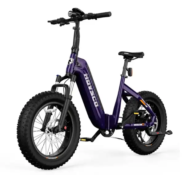 Local Ebike Seller! Hovsco HovBeta 20x4 Fat Tire Folding Ebike!62863276672641123