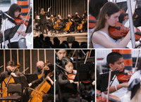 Youth Violin and Cello Apprenticeships