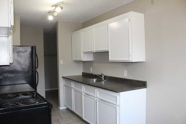 Meadow Green Apartment For Rent | Diane Apartments 2 in Long Term Rentals in Saskatoon - Image 3