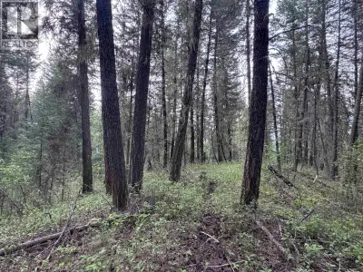 This 24.7 acres of prime vacant land with merchantable timber value and in an exceptional location o...