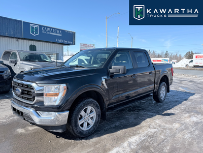 2021 Ford F-150 4WD 3.3L V6 Flex Fuel | Crew Cab | Tough & Reliable/No Accident ⚙️ Performance & Pow...