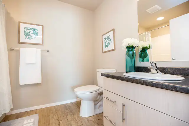 Pet-Friendly One Bedroom One Bath with In-suite Laundry for Rent in Long Term Rentals in Portage la Prairie - Image 18