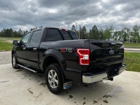 This Ford F-150 delivers a Regular Unleaded V8 5.0 L engine powering this Automatic transmission. EN... (image 8)