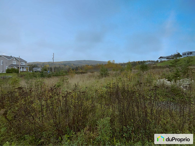 30 000$ - Terrain résidentiel à vendre à Lac-Au-Saumon dans Terrains à vendre  à Rimouski / Bas-St-Laurent - Image 4