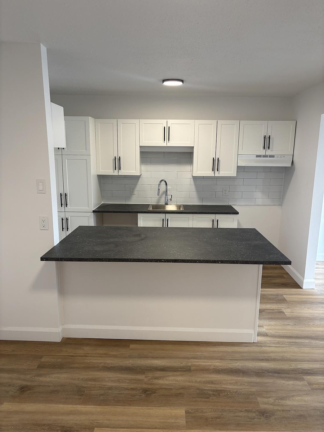 4 1/2 à louer disponible rue Simonds Sud, Granby — photo 1