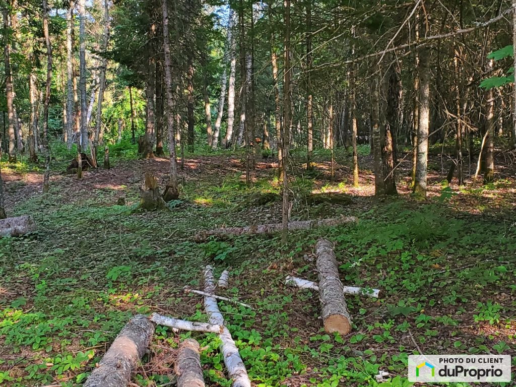 $136,000 - Residential Lot for sale in La Conception — photo 3