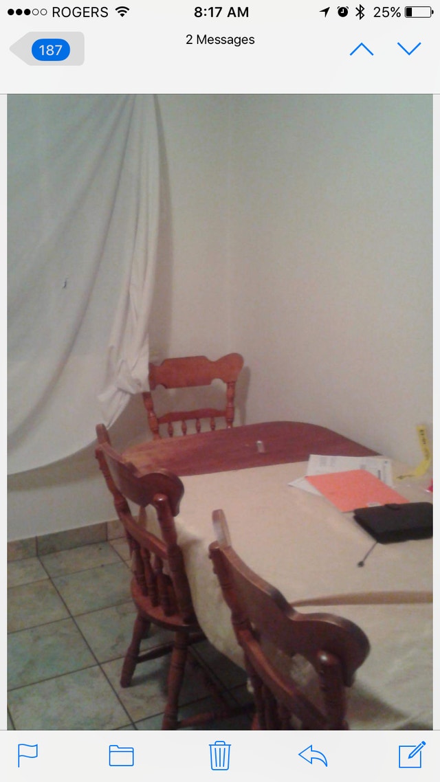 BEAU GRANDE 41/2 prop, peint, WIFI,stat… — photo 2