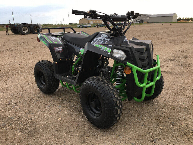ATVS/QUADS/DIRT BIKES/DUNE BUGGYS/UTVS/CLEARANCE SALE ON NOW in ATVs in Brandon - Image 3