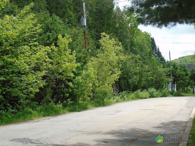 $1,540,000 - Residential Lot in Mont-Tremblant (St-Jovite) — photo 2