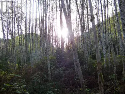 50 Big Acres high above the Bella Coola townsite. Access is by hard rock dedicated easement road. La...