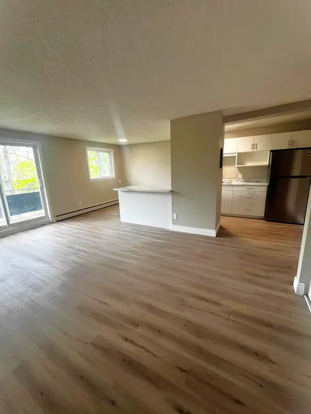 1 Month Free | Renovated 1-Bedroom | In-Suite Laundry | Balcony in Long Term Rentals in Sarnia - Image 5