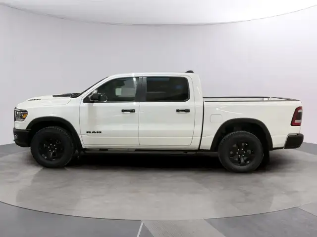 2023 Ram 150065048366664579121