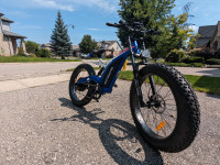 1500W Fat Tire Mountain eBike 67 km/h Free Shipping Warranty