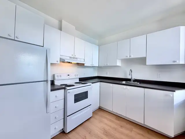 3 et demi - Hochelga - Électros inclus - Dispo maintenant! in Long Term Rentals in City of Montréal - Image 3