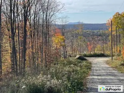 RARETÉ à Eastman ! Terrain boisé de 2 acres au coeur du Mont Orford dans un développement haut de ga...