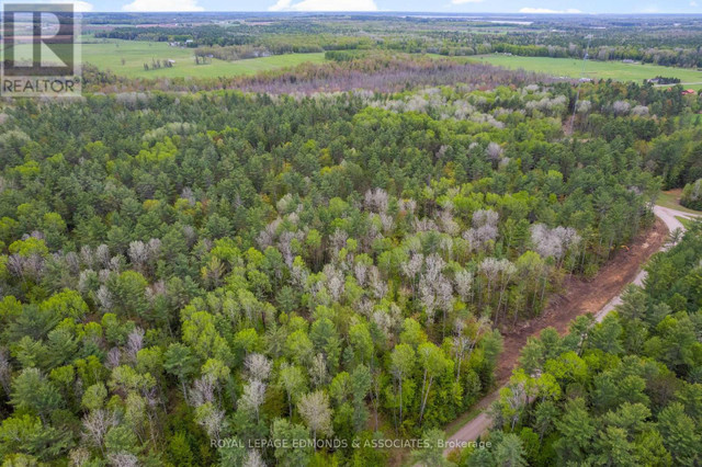 000 NANGOR TRAIL Whitewater Region, Ontario in Land for Sale in Pembroke - Image 3