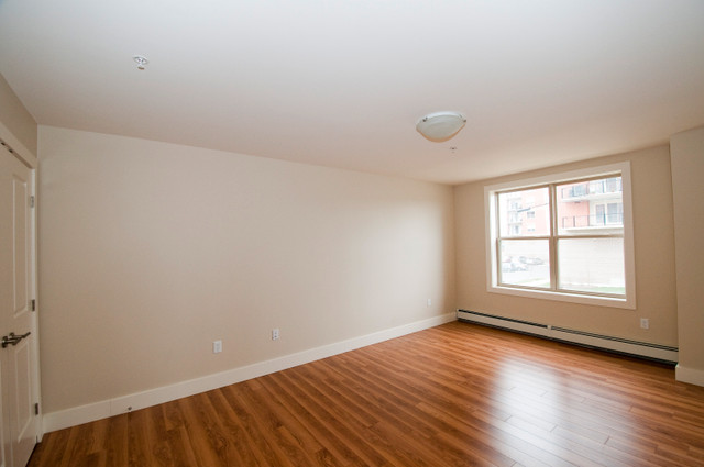 2 BR -  Condo Style - Dog Friendly! in Long Term Rentals in City of Halifax - Image 3