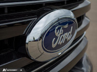 Power Stroke, Leather Seats, Tremor Off-Road Package, Power Running Boards! THIS VEHICLE IS LOCATED... (image 9)