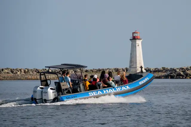 NEWSTAR MARINE  "BEST Tender, RHIB,  "inflatable Boats" in Powerboats & Motorboats in City of Halifax - Image 6
