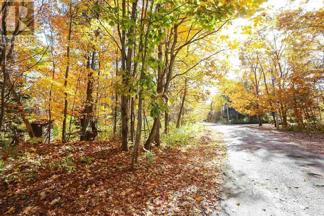 Lot 19 Nokomis Beach RD Sault Ste. Marie, Ontario in Land for Sale in Sault Ste. Marie - Image 4