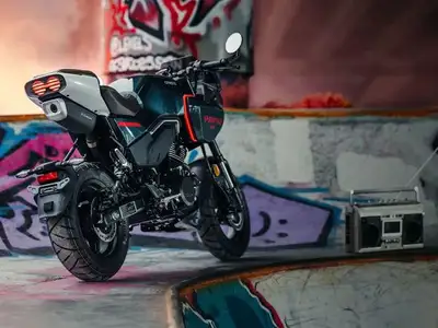 PRICE DOES NOT INCLUDE FREIGHT PDI FEE'S OR TAX'S PAPIO SS 20255-year limited warrantyWith a retro-s...