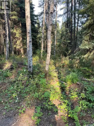 5.22 acre titled lot with some trees is sandy soil with good water in the area. No building timeline...