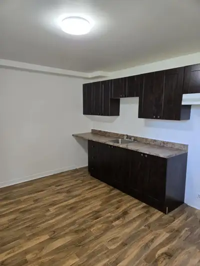 Grand 4 1/2 rénové à louer à Louiseville (demi-sous-sol) 1er juillet 2026 | 1190$/mois | 81 rue Peti...