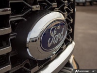 Power Running Boards, B&O Sound System, Adaptive Cruise Control, HUD, Lane Keep Assist, Navigation,... (image 9)