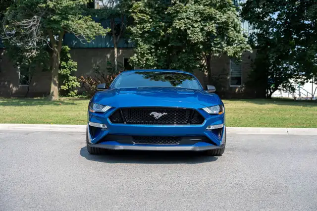 2022 Ford Mustang591903183644938241