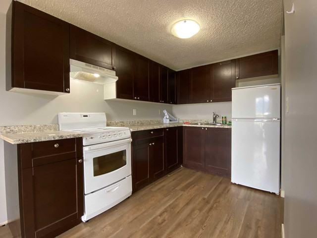 Central Chilliwack Apartment For Rent | Chilliwack Central Apart in Long Term Rentals in Chilliwack - Image 3