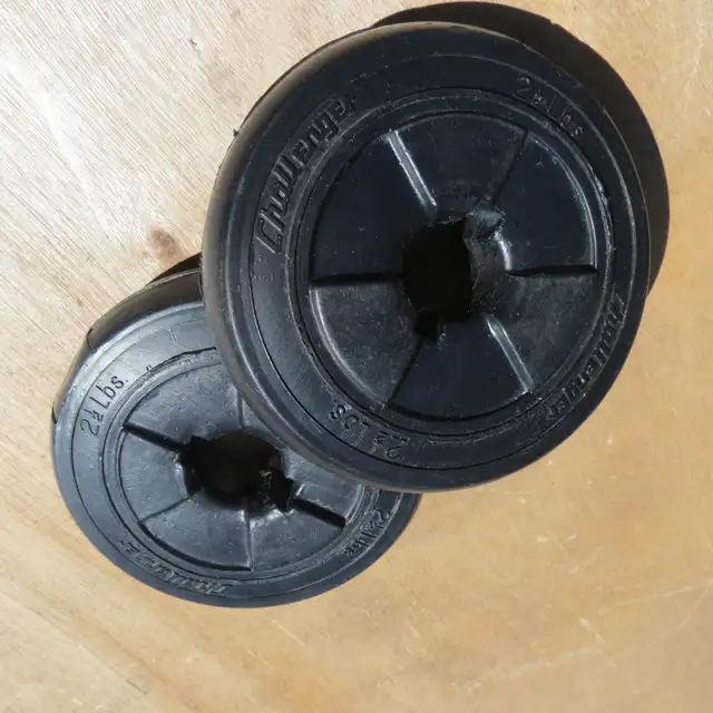 Weight Plates  2 1/2 lbs in Exercise Equipment in Winnipeg - Image 4