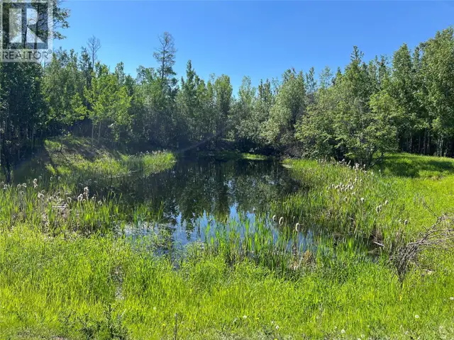 3466 218 Road Dawson Creek, British Columbia in Houses for Sale in Dawson Creek - Image 9