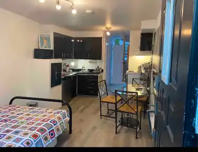 STUDIO COZY IN PLATEAU MONT-ROYAL  1095$/MONTH- METRO MONT ROYAL