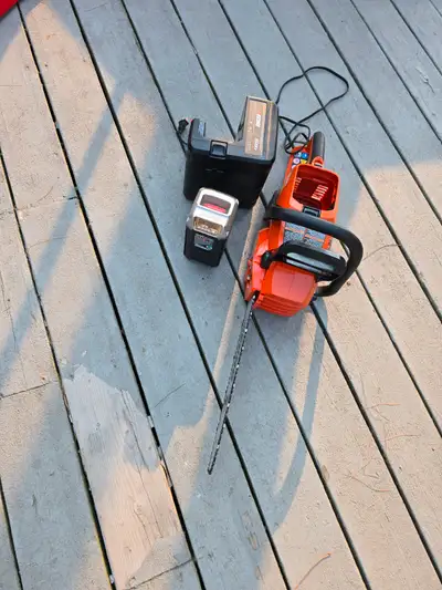 ECHO 58V Electric Chain Saw 16", View more