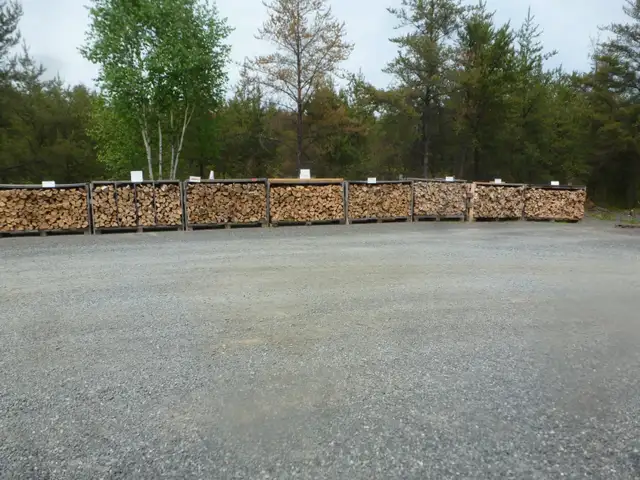 Firewood ( Out of DRY WOOD till spring ) in Other in Sudbury - Image 3