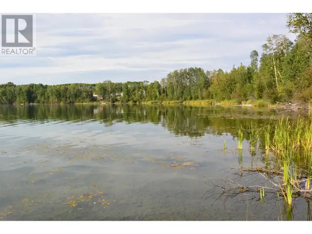 4421 TYHEE LAKE ROAD Telkwa, British Columbia in Land for Sale in Smithers - Image 10