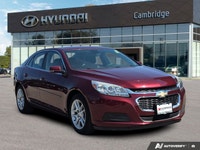 Embark on your daily adventures or long-distance travels with confidence and efficiency in this impr... (image 6)