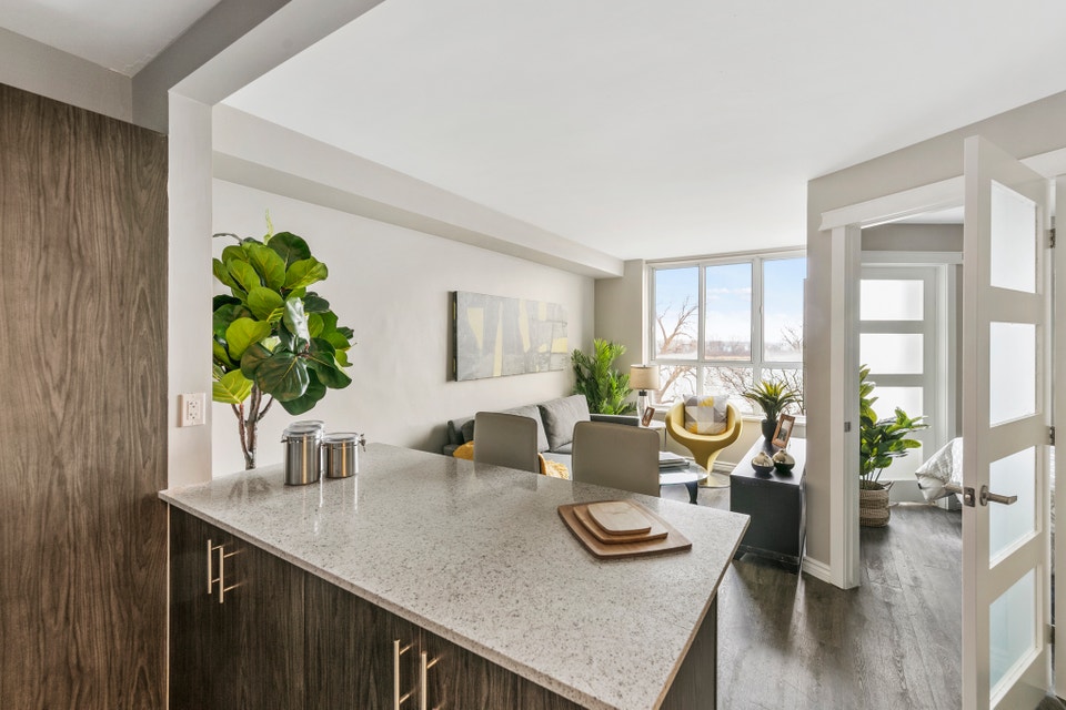 Practical Jr. 1 Bedroom Apt - Amazing Location on Riverside 4