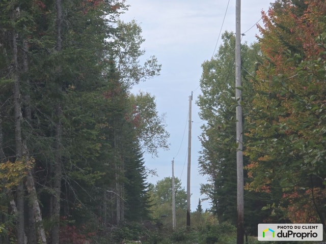 $215,000 - Wood Lot for sale in St-Camille-De-Lellis — photo 2