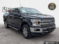Rose City Ford Come see this 2020 Ford F-150 XLT while we still have it in stock! *This Ford F-150 I... (image 7)