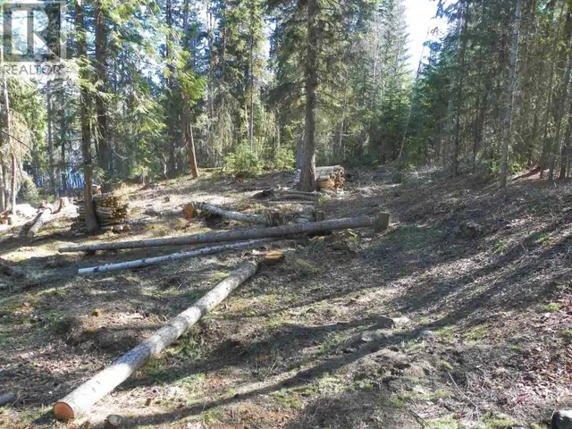 LOT A CANIM-HENDRIX LAKE ROAD Canim Lake, British Columbia in Land for Sale in 100 Mile House - Image 24