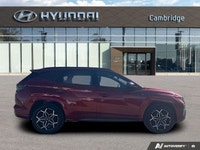 *2024 Hyundai Tucson N-Line Hybrid | AWD | Panoramic Sunroof | Heated & Ventilated Seats | CarPlay*... (image 5)