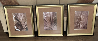 3 Frames Botanical Wall Art, View more