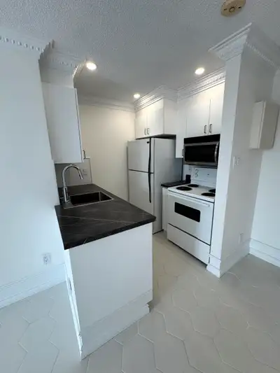 Grand logement rénové 1 ch. - Hull